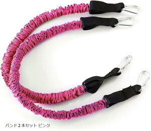 yyVLO1ʓ܁zKi 2.0 |[^utBbglXW {fB{X2.0 c sN(sN, oh2{Zbg sN)