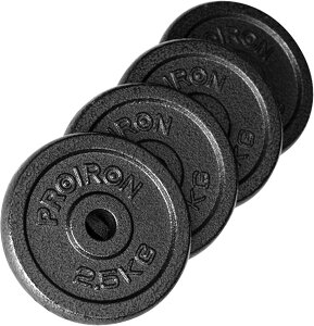 �_���x�� �v���[�g�_���x��������ǉ� �����S 2.5kgx4�� ���a25mm (�_���x�� �v���[�g2.5kgx4��)
