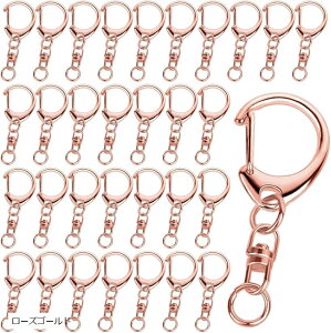 L[z_[ ^b`L[z_[ ]J ۃJt nhCh 100 [YS[h ([YS[h)