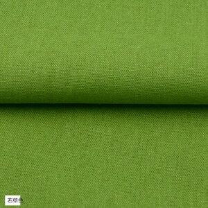 ݊i S19F |p   J[ n z n PF 1.5mx2m(ᑐF)