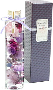 n[oE iLinapBOXt p[v 蕨 a  j LO v[g  j JXj Vzj Mtg  w L-01 (p[v)