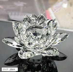 NX^KX  @̉ [^X TLb`[  CeA vY IuWF Mtg v[g NA (NA, 10cm)