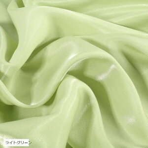 S16F VN  Te n J[ 2mx1.5m CgO[ (CgO[)