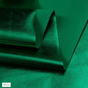 S13F XpfbNX n J[ 2mx145cm Lk e |E^ O[ (O[)