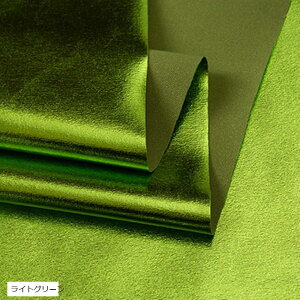 S13F XpfbNX n J[ 2mx145cm Lk e |E^(CgO[)