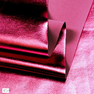 S13F XpfbNX n J[ 2mx145cm Lk e |E^ sN (sN)