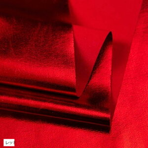 S13F XpfbNX n J[ 2mx145cm Lk e |E^ bh (bh)