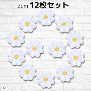 by  2cm 12Zbg ACڒ ̎q AbvP hJ  ()