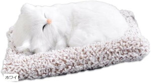 L u CeA ʂ ԓ Y (zCg)