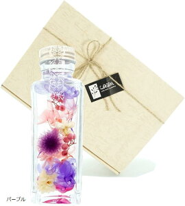 n[oE JUN MtgBOXt ̓ 蕨 a LO v[g  j hV p[v (p[v)