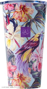 Jt {g^u[ ۉ ۗ Wt ۉ{g XeX d\ ^fM  GR{g }O{g Wt{g 킢  nCrXJX Fxx_[ (nC