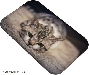 ˂^E LoX}bg A ʐ^  tlf tA}bg ӂ}bg 40cmx60cm ^CvB (40cmx60cm ^CvB)