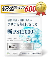 【楽天ランキング1位入賞】医師監修 ホスファチジルセリン サプリ GABA集中力x落ち着きクリア成分10種類x…