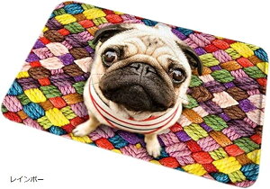  }bg pO グ    3D rO O(C{[, F60cmxF40cm)