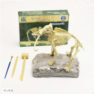 @Lbg   Δ@Lbg ig @Zbg m qp }X (}X)