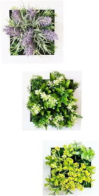 観葉植物 光触媒 消臭 ＆ 抗菌 ウォールグリーン フェイクグリーン 3個 セット( 3個 セット)
