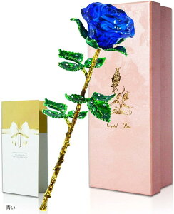  CeA o KN ւ̉ ͂Ȃ WG[u[o ()