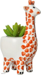 v^[ L Aؔ A 킢 ϗtA t[ |bg zCg (zCg, F15cm x F24.5cm)