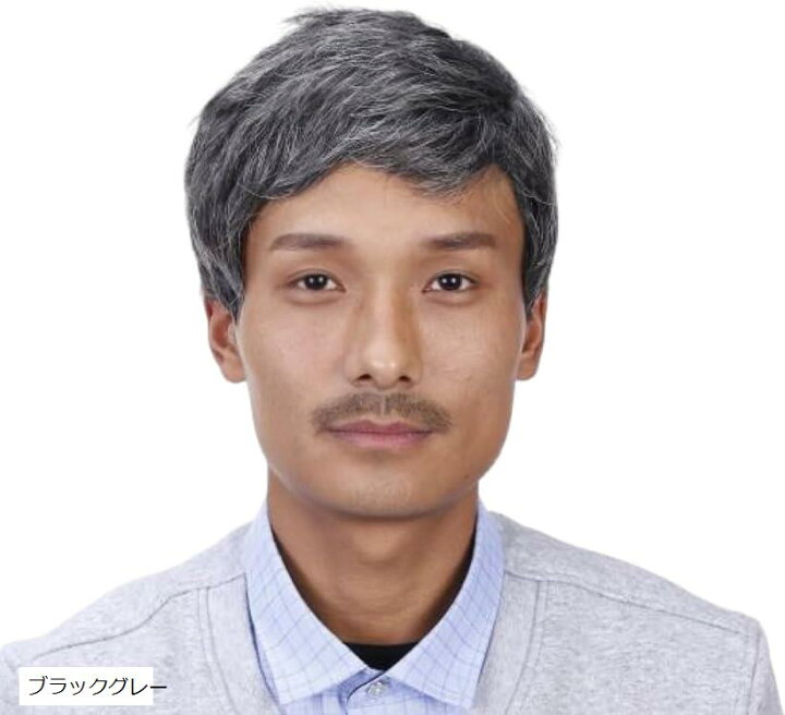 楽天市場】男性 ウィッグ アジャスター付き フルウィッグ ダンディ  
