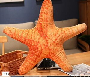 ʂ C   L CN VF NbV  A ӂӂ D C C ANAE (qgf)