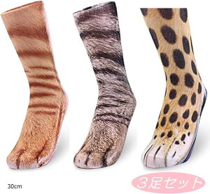 L \bNX L̑ 3Dvg A C [\bNX 킢  RXv RX`[ 30cm (30cm)