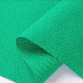 11号 カラー 帆布 生地 綿100％ コットン キャンバス( 緑)