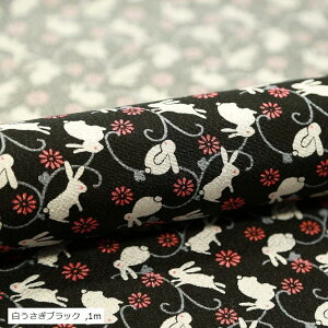 ߂ a | ߂׍H p z ubN 1m (ubN, 1m)