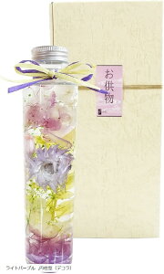  n[oE NAO͂Ȃ vU[uht[ { CeA ~^ fR Cgp[v (Cgp[v, ~^ifRj)