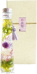  n[oE NAO͂Ȃ vU[uht[ { CeA ~^ c[ O[ (O[, ~^ic[j)