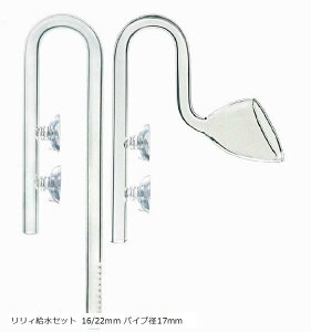 Life Design Johnson.59  T[tF[X XL}[ B NA KX Zbg ANAE   BZbg 16/22mm pCva17mm(BZbg 16/22mm pCva1)