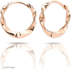 sAX fB[X t[vsAX AM[Ή T[WJXeX (sNS[h)