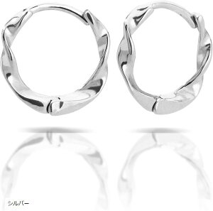 sAX fB[X t[vsAX AM[Ή T[WJXeX(Vo[)