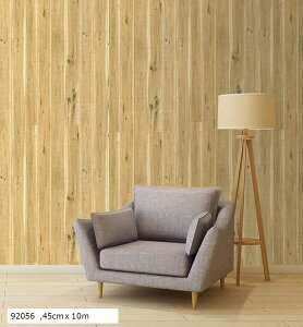 ǎV[ ͂ǎ ؖڒ h CNV[g tH[ DIYV[g hJr EH[XebJ[ a ̂t 10[g (92056, ij45cmx10m)