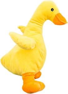   ʂ  _炩  p ybg f^PA ybgpi ނ XgX ^s (Ђ, M)