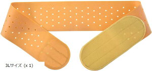 S Ճxg^ 3LTCY(IW, 3LTCY (x 1))