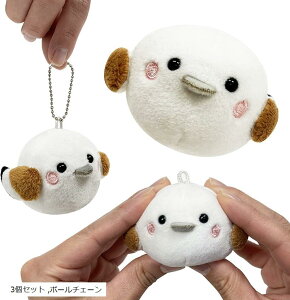 ȂɃV}GiK {[`F[ L[z_[ ʂ }XRbg Rg  炩 ӂӂ 3Zbg (3Zbg, {[`F[)