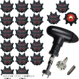 pStV[Y XpCNe \tgXpCN nh`t XpCN ~^20Zbg (XpCNԁi~j^20Zbg)