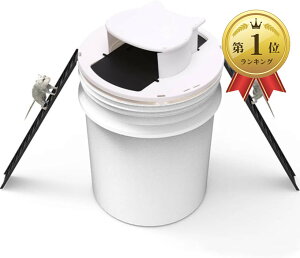 yyVLO1ʓ܁zlY~߂ lY~ߊl 쏜 zCg (zCg)