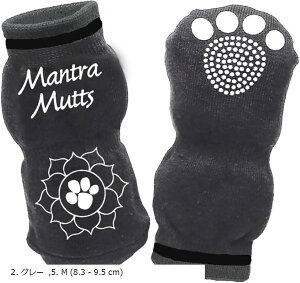 }bg\bNX pC ~ߕt 2 4 ̕یPK\h M O[ (2. O[, 5. M)