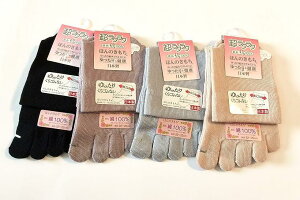 5{w\bNX fB[X Zbg { \100 SȂ 22-25cm 4F4g (Ax[WAsNAO[, 22-24)