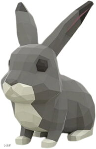 y[p[Ntg  Lbg p ̓I  ()