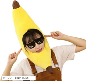 RXv Sg oii  RX`[ ߑ nEB  w F jp lp A273-09 4 60cm (CG[, (4) t[ 60cm lp)