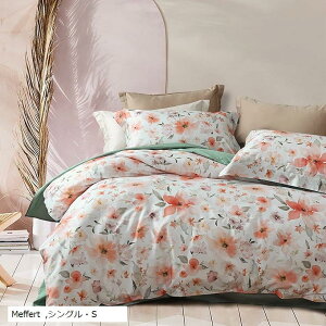 zcJo[Zbg 4_Zbg ʋC 60Ԏ荂xD IWifUC xbhJo[Zbg  Jo[x2 |zcJo[x1 }bgXJo[x1(Meffert, VOES)