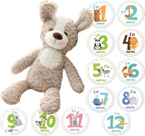 BeZbgt t@[XggC { Ԃ ʂ }Cxr[Xg V v[g ()