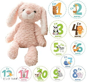 BeZbgt t@[XggC { Ԃ ʂ }Cxr[Xg V v[g (sN )