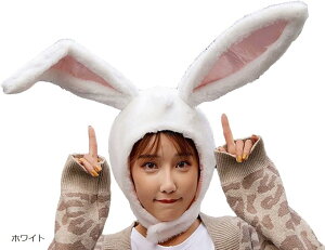 GNgbNT[JX ETM Ԃ RXv Xq  zCg (zCg)