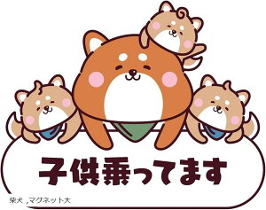  J[XebJ[ LbYCJ[ }Olbg  Č qĂ܂ (zCg, }Olbg)