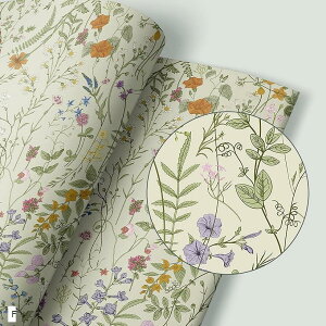 ǎ V[ CNV[g  DIY JbeBOV[g (F, 44cmx10m)