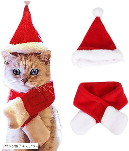 morytrade ybg NX}X L  RXv T^N[X T^Xq }t[ Zbg L (T^Xq{}t[L, L)