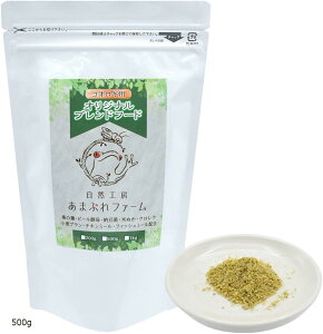 RIM̃GT RIMpIWiuht[h ảh{ƈ肵ɐB (500g)